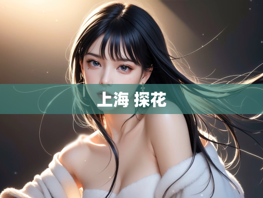上海 探花