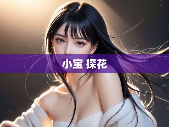 小宝 探花