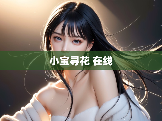 小宝寻花 在线