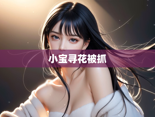 小宝寻花被抓