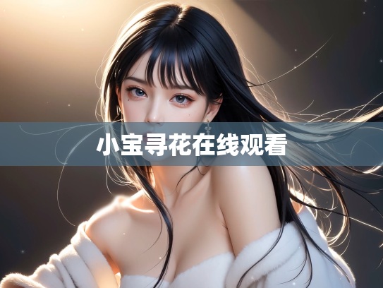 小宝寻花在线观看
