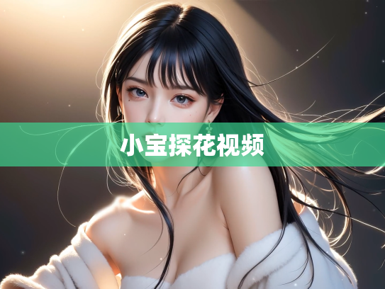 小宝探花视频