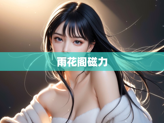 雨花阁磁力