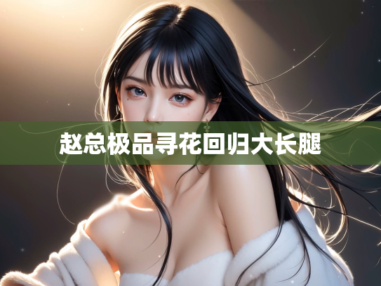 赵总极品寻花回归大长腿