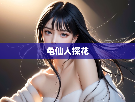 龟仙人探花